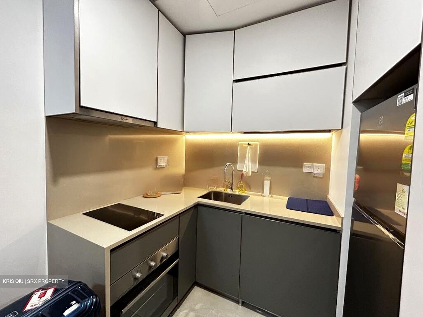 Normanton Park (D5), Apartment #465392111